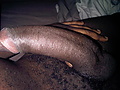 Filename=a80d366a.jpg
Filesize=295KB
Dimensions=2048x1536
Date added=Jun 05, 2012 a80d366a.jpg