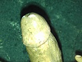Filename=7daa1786.jpg
Filesize=489KB
Dimensions=1440x2560
Date added=Jul 18, 2013 7daa1786.jpg