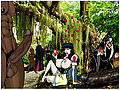 Filename=98c0b956.jpg
Filesize=342KB
Dimensions=800x600
Date added=Nov 20, 2013 98c0b956.jpg