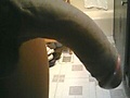 Filename=355afbce.jpg
Filesize=10KB
Dimensions=240x320
Date added=Feb 27, 2014 355afbce.jpg