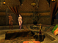 Filename=ArabianDreams3.jpg
Filesize=1016KB
Dimensions=1189x694
Date added=Feb 02, 2012 ArabianDreams3.jpg