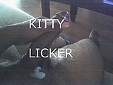 Kitty-Licker-4.jpg