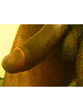Filename=photo-ffadult-r40-s1-32118765_39817_15392297_main.gif
Filesize=10KB
Dimensions=240x320
Date added=Oct 25, 2009 photo-ffadult-r40-s1-32118765_39817_15392297_main.gif