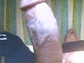 Filename=cock2.jpg
Filesize=27KB
Dimensions=360x480
Date added=Jun 10, 2010 cock2.jpg