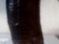 Filename=vote4me.jpg
Filesize=27KB
Dimensions=302x612
Date added=May 20, 2010 vote4me.jpg