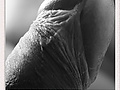 Filename=mehrdavon.jpg
Filesize=42KB
Dimensions=480x587
Date added=Nov 18, 2010 mehrdavon.jpg