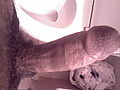 Filename=IMAGE_030.jpg
Filesize=158KB
Dimensions=1280x1024
Date added=Apr 27, 2008 IMAGE_030.jpg