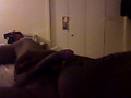 Filename=ArcSoft_Image9.jpg
Filesize=13KB
Dimensions=320x240
Date added=Nov 21, 2011 ArcSoft_Image9.jpg