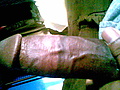 Filename=Picture_002~0.jpg
Filesize=145KB
Dimensions=800x600
Date added=Jul 18, 2008 Picture_002~0.jpg