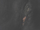 87d617b9.jpg