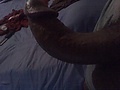 Filename=83efc726.jpg
Filesize=288KB
Dimensions=1600x1200
Date added=Apr 30, 2012 83efc726.jpg
