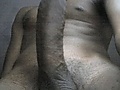 Filename=4528326d.jpg
Filesize=29KB
Dimensions=415x450
Date added=May 12, 2012 4528326d.jpg