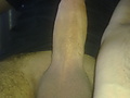 Filename=9ddac787.jpg
Filesize=361KB
Dimensions=1944x2592
Date added=May 13, 2012 9ddac787.jpg