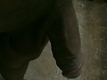 Filename=a535c220.jpg
Filesize=196KB
Dimensions=1360x2048
Date added=May 19, 2012 a535c220.jpg