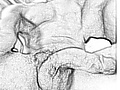 8763cdcd.JPG