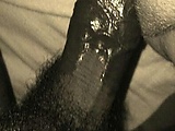 6d447921.jpg