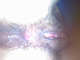 98ef4c69.jpg