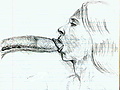 Filename=de4fd3e4.jpg
Filesize=32KB
Dimensions=830x674
Date added=Jun 12, 2012 de4fd3e4.jpg