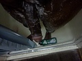 Filename=973fde6b.jpg
Filesize=83KB
Dimensions=1024x768
Date added=Jun 14, 2012 973fde6b.jpg