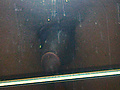 Filename=e6c73b3e.jpg
Filesize=88KB
Dimensions=627x608
Date added=Jun 22, 2012 e6c73b3e.jpg