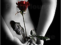 Filename=6ed9f3fe.jpg
Filesize=29KB
Dimensions=331x500
Date added=Jul 14, 2012 6ed9f3fe.jpg