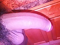 8c0dced1.jpg
