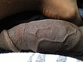 Filename=9441b2d1.jpg
Filesize=845KB
Dimensions=2592x1456
Date added=Jul 16, 2012 9441b2d1.jpg