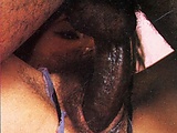 3ca604e6.jpg