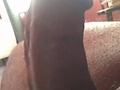 Filename=f813cff8.jpg
Filesize=1542KB
Dimensions=2448x3264
Date added=Jul 27, 2012 f813cff8.jpg