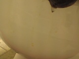 13666d19.jpg