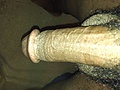 6ee490eb.JPG