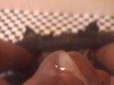 d363e24c.jpg