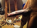 Filename=b0f5eb13.jpg
Filesize=47KB
Dimensions=502x449
Date added=Aug 11, 2012 b0f5eb13.jpg
