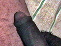 e33b7d51.JPG