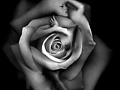 Filename=c4d3f7b6.jpg
Filesize=42KB
Dimensions=500x499
Date added=Aug 24, 2012 c4d3f7b6.jpg