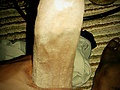 Filename=0c2ed94f.jpg
Filesize=998KB
Dimensions=1552x2592
Date added=Sep 15, 2012 0c2ed94f.jpg