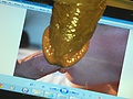 Filename=763c9e39.jpg
Filesize=921KB
Dimensions=1840x3264
Date added=Sep 15, 2012 763c9e39.jpg