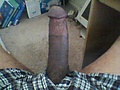 Filename=81b0ed52.jpg
Filesize=72KB
Dimensions=640x480
Date added=Sep 18, 2012 81b0ed52.jpg