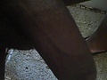 Filename=e1af1414.jpg
Filesize=45KB
Dimensions=410x512
Date added=Sep 24, 2012 e1af1414.jpg