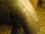 e04a9255.jpg