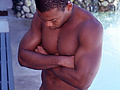 9531388e.jpg