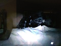 519f0d38.JPG