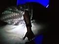 538c3e3b.JPG