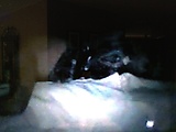 519f0d38.JPG