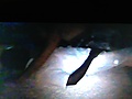 114b5f94.JPG
