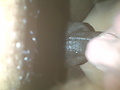 Filename=31618af1.jpg
Filesize=394KB
Dimensions=1600x1200
Date added=Oct 05, 2012 31618af1.jpg