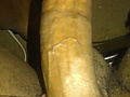 56880d0d.jpg