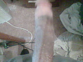 Filename=72d51b39.jpg
Filesize=62KB
Dimensions=480x640
Date added=Oct 25, 2012 72d51b39.jpg
