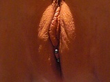 588e54c3.JPG