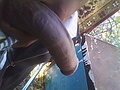 Filename=8a86e740.jpg
Filesize=192KB
Dimensions=1600x1200
Date added=Nov 29, 2012 8a86e740.jpg